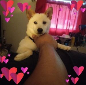 Meet your Posher, Cheryl